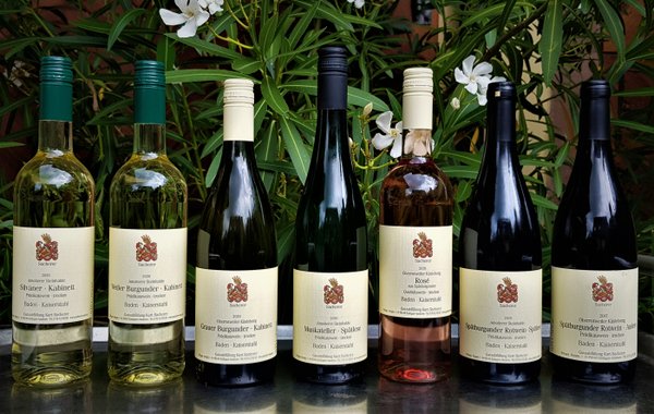 Verschiedene Weine vom Weingut Sacherer, Burgunder, Rosé und Silvaner